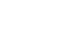Active Skin